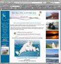 Beachcombers