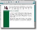 MRE Consulting Group