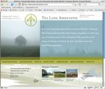 Tea Lane Associates